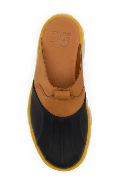 Sorel Rein Cbtm Clog In Black