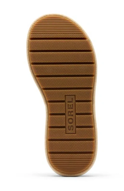Sorel Sunpeak Ankle Strap Platform Sandal In Black