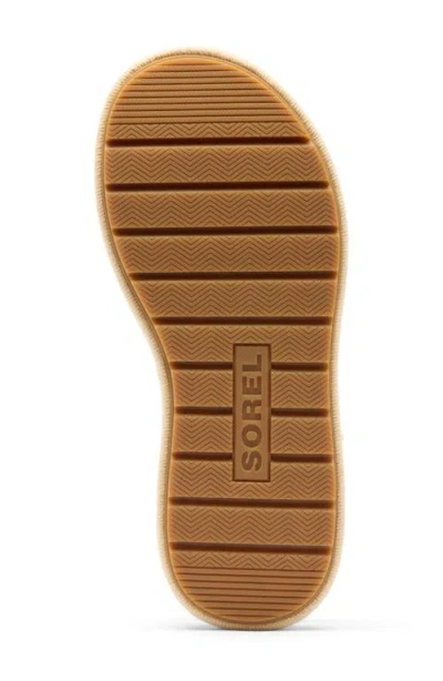 Sorel Sunpeak Ankle Strap Platform Sandal In Brown