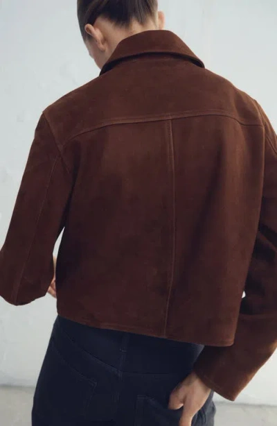 Mango Suede Button Front Crop Jacket In Brown