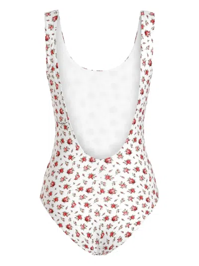 Dolce & Gabbana Small Rose-print One-piece Swimsuit In Multi