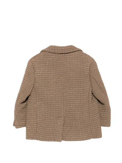 Douuod Textured Blazer In Brown