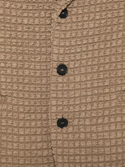 Douuod Textured Blazer In Brown