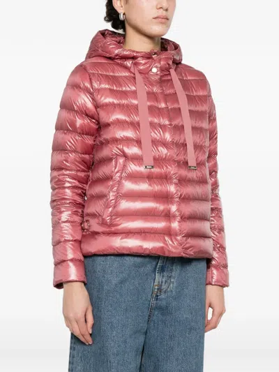 Herno Hooded Quilted Jacket In Multi