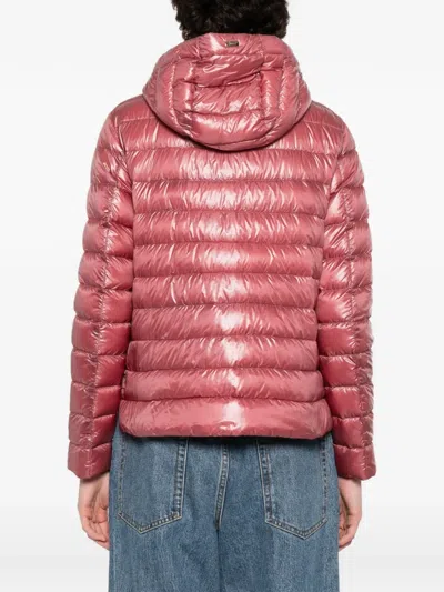 Herno Hooded Quilted Jacket In Multi