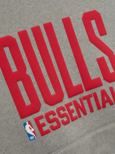 Essentials Bull Graphic Sweatshirt In Gray