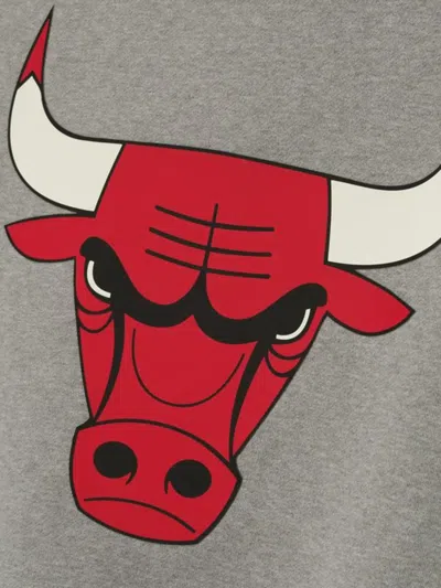 Essentials Bull Graphic Sweatshirt In Gray