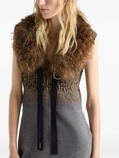 Prada Shearling Collar In Brown