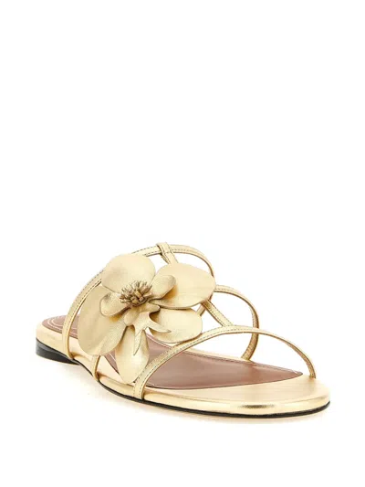 Zimmermann Orchid Flat Sandal Metallic Straps Floral In Gold