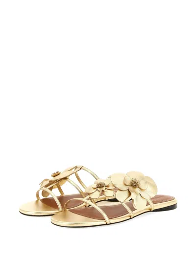 Zimmermann Orchid Flat Sandal Metallic Straps Floral In Gold