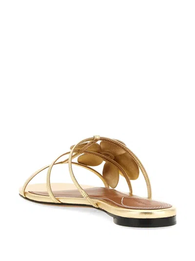 Zimmermann Orchid Flat Sandal Metallic Straps Floral In Gold