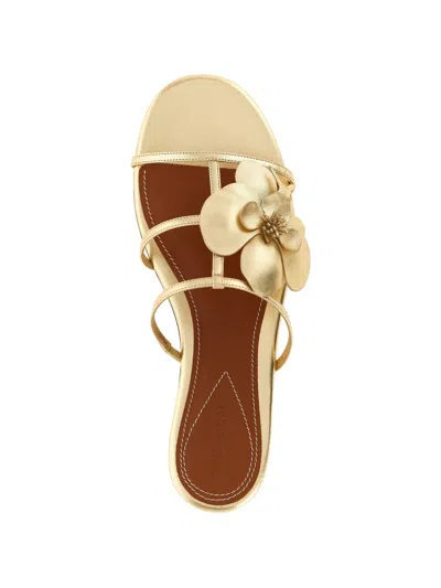 Zimmermann Orchid Flat Sandal Metallic Straps Floral In Gold