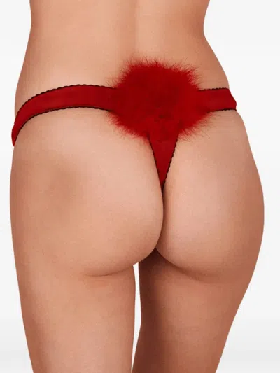 Gilda & Pearl Brief Encounter Pom Pom Thong In Red