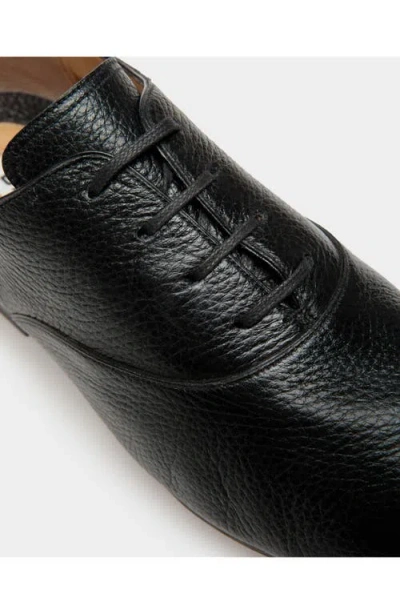 Bally Pinte Oxfords In Multi