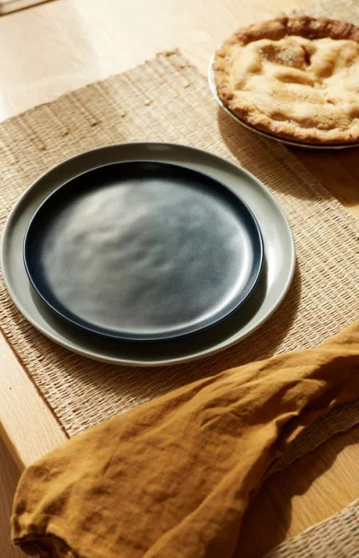 Fable Home Dinner Plates In Black