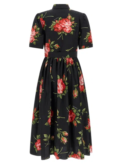 Dolce & Gabbana Belted Gathered Floral-print Cotton-poplin Midi Dress In Black