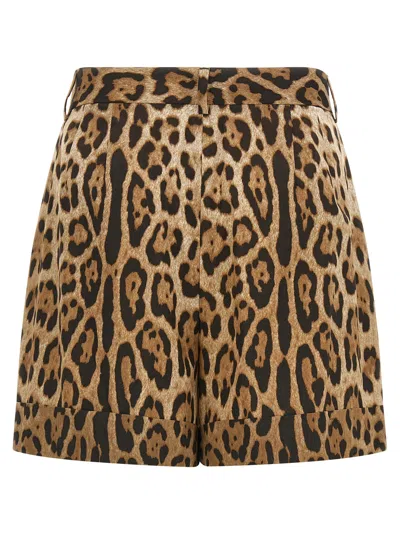 Dolce & Gabbana High Waist Leopard Stretch Drill Shorts In Animal Print