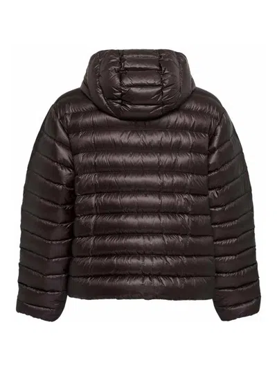 Jil Sander Technical Fabric Down Jacket In Purple