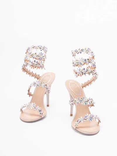 René Caovilla Flat Sandal Rene Caovilla Woman Color Pink In Multi