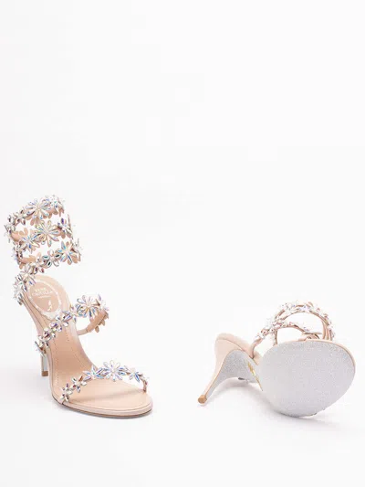René Caovilla Flat Sandal Rene Caovilla Woman Color Pink In Multi