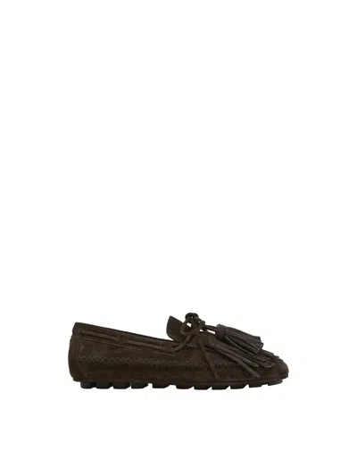 Massimo Dutti In Multi