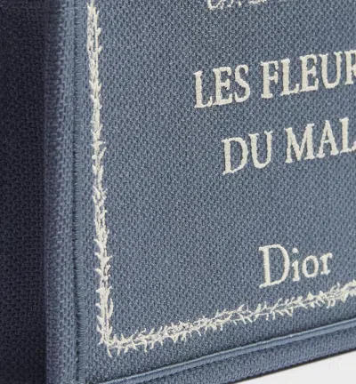 Dior A5 Triangle Pouch In Multi