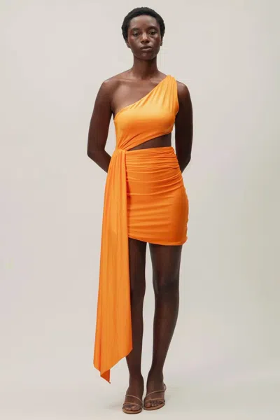 Baobab Zadeh Mini Dress In Orange