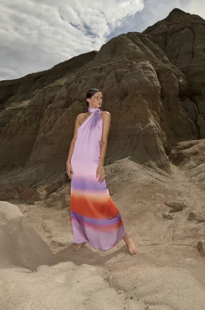 Baobab Ari Maxi Dress In Multi