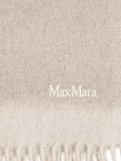 Max Mara Baci Fringed Scarf In Multi
