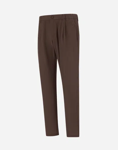 Herno Seer-crease Trousers In Brown