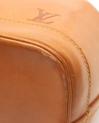 Pre-owned Louis Vuitton Nomad Noé Bb Bag