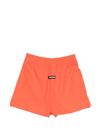 Msgm Elasticated Shorts In Animal Print