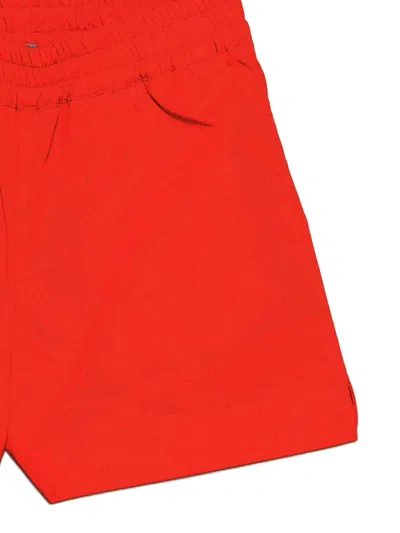 Msgm Elasticated Shorts In Animal Print