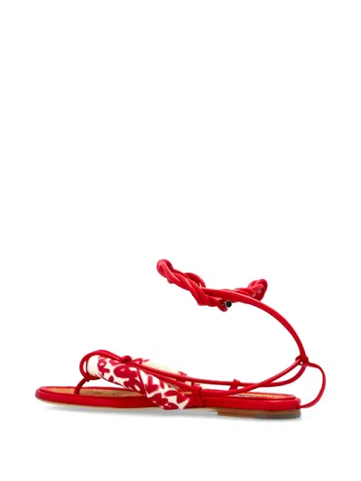 Dsquared2 Rebel Hibiscus Sandals In Red