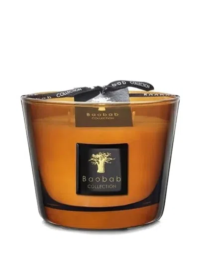 Baobab Collection Max 10 Les Prestigieuses Cuir De Russie Candles In Multi