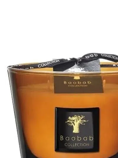 Baobab Collection Max 10 Les Prestigieuses Cuir De Russie Candles In Multi