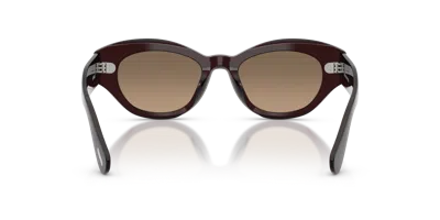 Oliver Peoples Lerrue Oval Sunglasses In Black