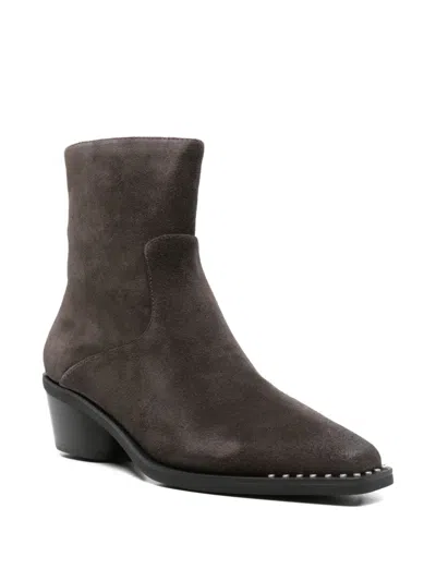 Ash Hasley03 Ankle Boots In Black