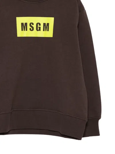 Msgm Logo-print Sweatshirt In Brown