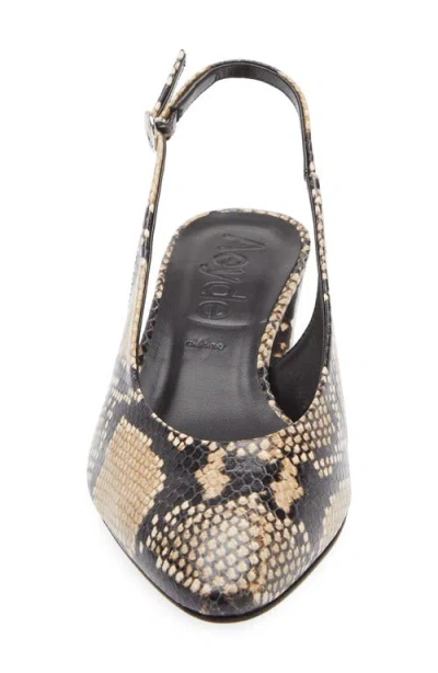 Aeyde Celeste Snake-effect Leather Slingback Pumps In Brown