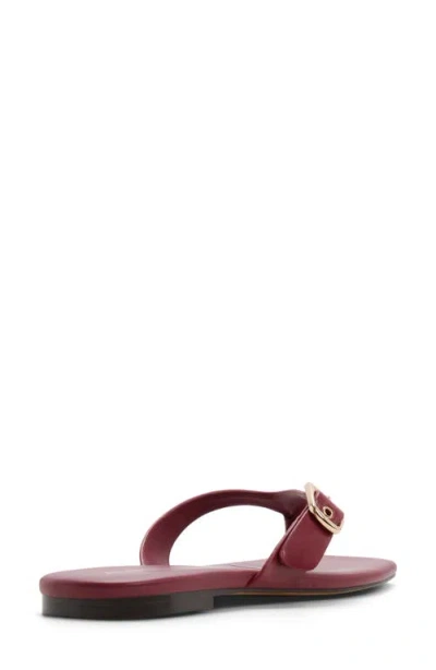 Aldo Leonnia Buckle Flip Flop In Red