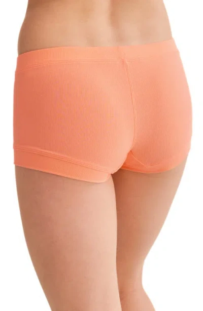 Fleur't Boxer Shorts In Brown