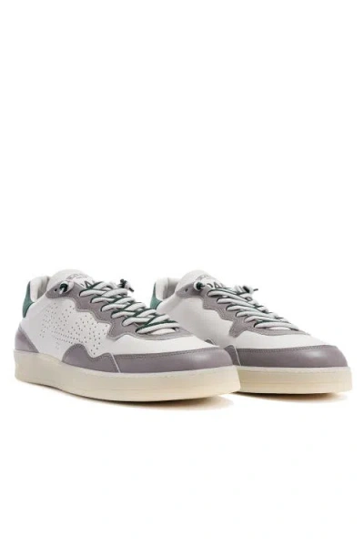 P448 Vert Sneaker In Gray