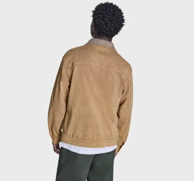 Converse Essential Zip Jacket In Brown