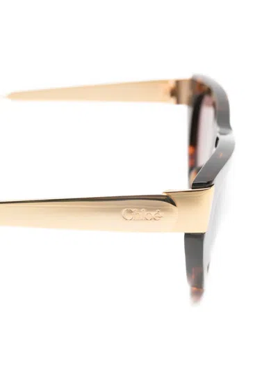 玳瑁纹猫眼框太阳眼镜