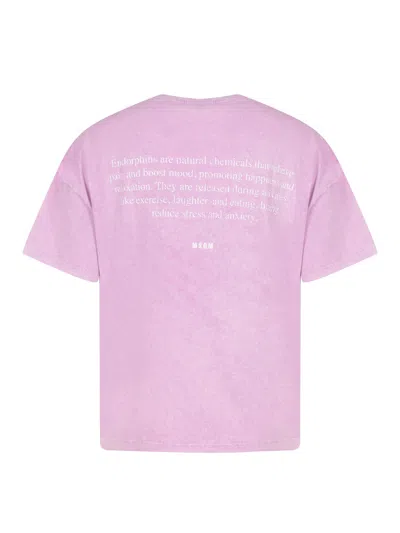 Msgm T-shirt In Multi