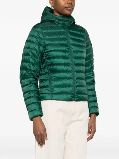 Canada Goose Aethera Hooded Jacket In Green