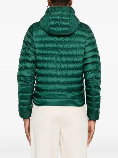 Canada Goose Aethera Hooded Jacket In Green