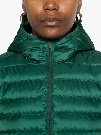 Canada Goose Aethera Hooded Jacket In Green