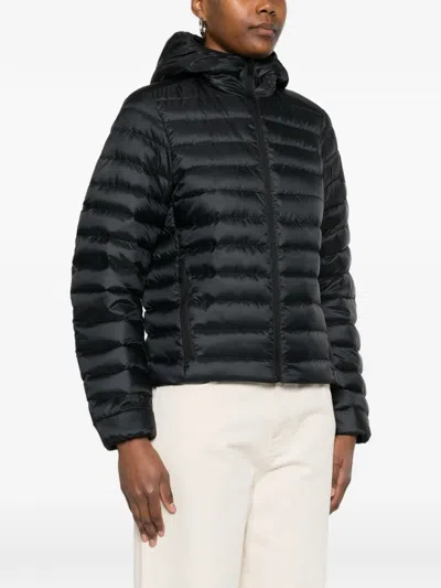 Canada Goose Aethera Hooded Jacket In Black